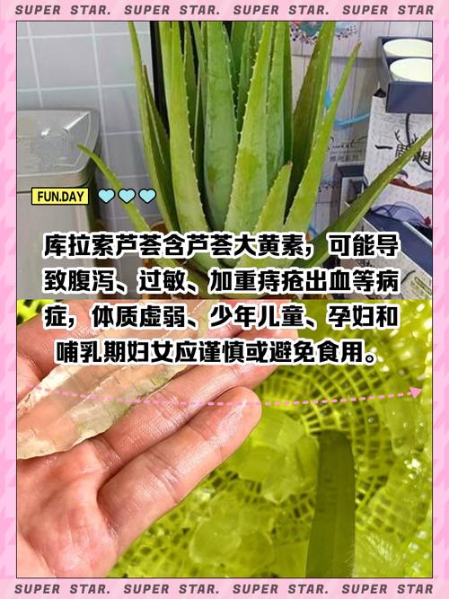 包含“芦荟”叶子到底能不能擦脸？你想问的，答案都在这里了的词条-第6张图片-优品飞百科