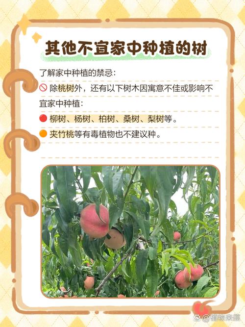 桃树能种在院子里吗，桃树能种在院子里吗风水好吗-第3张图片-优品飞百科