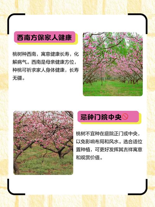 桃树能种在院子里吗，桃树能种在院子里吗风水好吗-第4张图片-优品飞百科