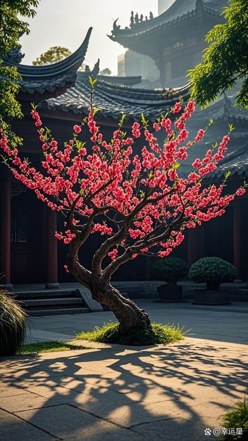 桃树能种在院子里吗，桃树能种在院子里吗风水好吗-第5张图片-优品飞百科