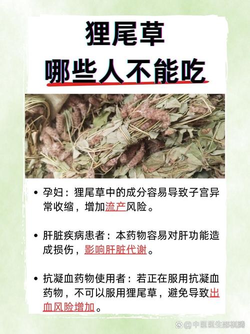 狐尾草对狐狸有什么作用？狐狸尾草药的副作用？-第5张图片-优品飞百科