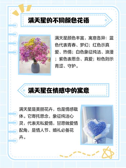 一束满天星多少钱，一小束满天星多少钱，一束满天星多少元-第3张图片-优品飞百科