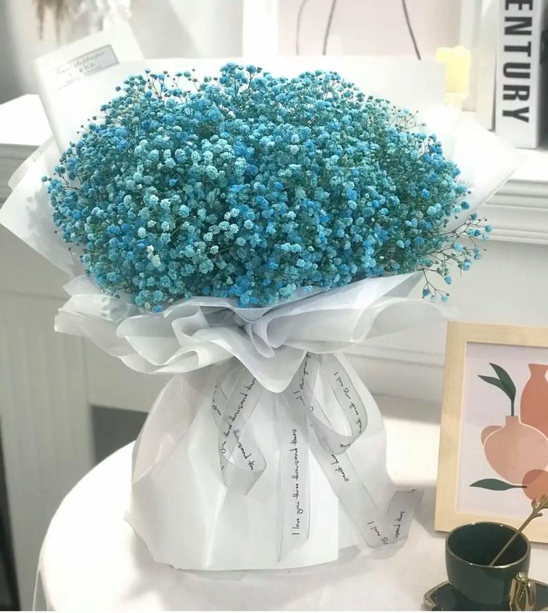 一束满天星多少钱，一小束满天星多少钱，一束满天星多少元-第6张图片-优品飞百科