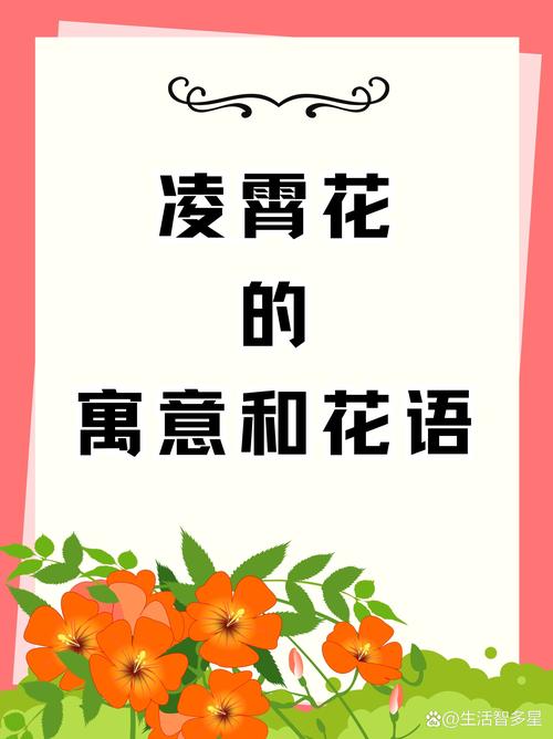 凌霄花的花语及传说，凌霄花的花语和寓意-第3张图片-优品飞百科