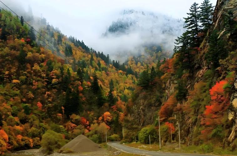 米亚罗天气预报15天，米亚萝天气预报-第2张图片-优品飞百科