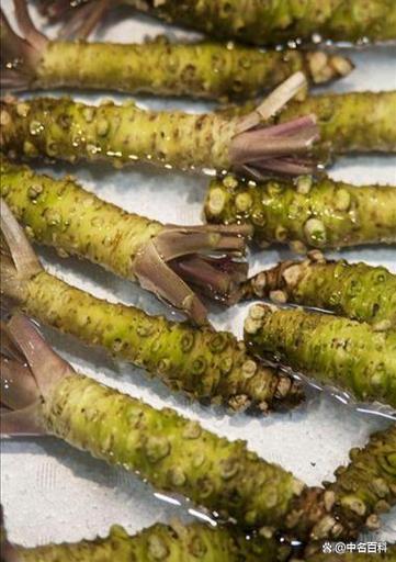 芥菜头的功效与作用，芥菜头的功效与作用吃法？-第5张图片-优品飞百科