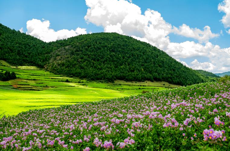 攀枝花仁和天气预报，攀枝花仁和天气预报准确-第3张图片-优品飞百科