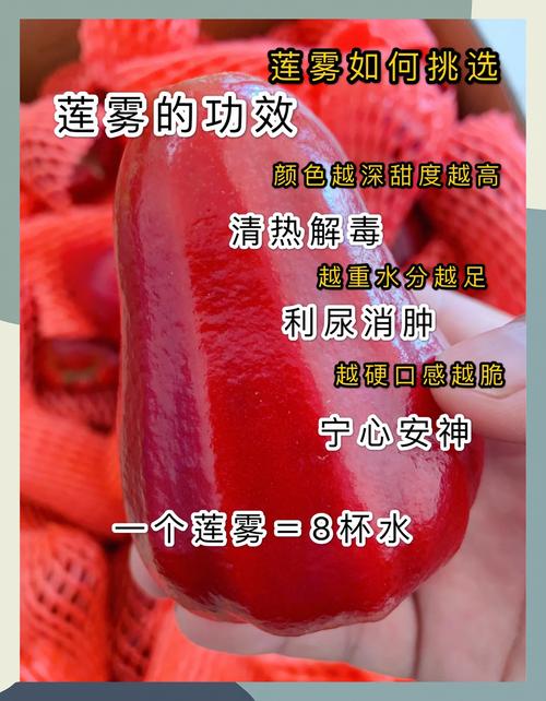 莲雾怎么吃，莲雾中间芯能吃吗，莲雾的中间能不能吃-第2张图片-优品飞百科