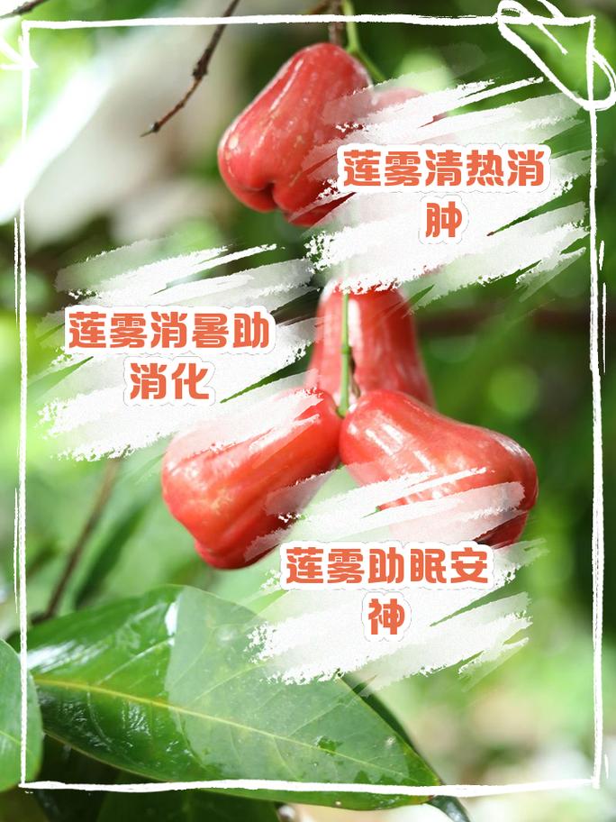 莲雾怎么吃，莲雾中间芯能吃吗，莲雾的中间能不能吃-第5张图片-优品飞百科