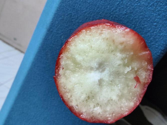 莲雾怎么吃，莲雾中间芯能吃吗，莲雾的中间能不能吃-第7张图片-优品飞百科