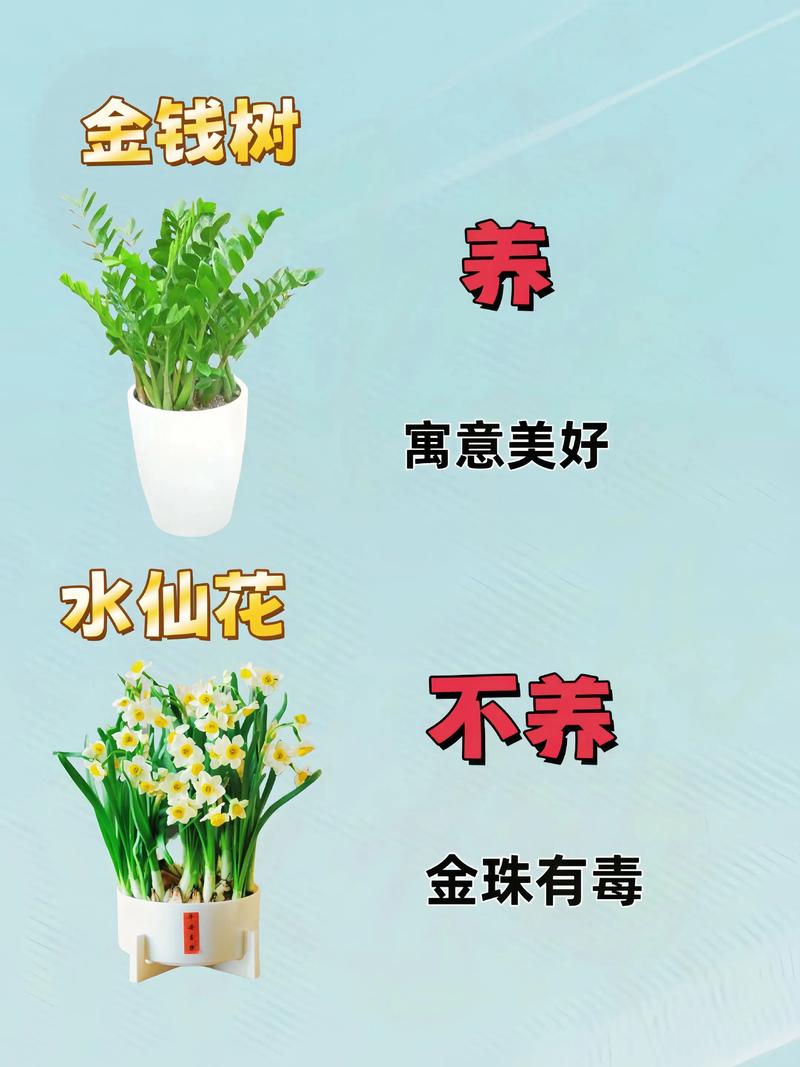 养花的好处？生姜养花的好处？-第6张图片-优品飞百科