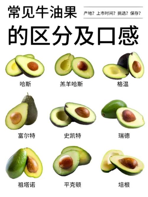 牛油果有几个品种，牛油果不同品种的区别，牛油果哪个好？
