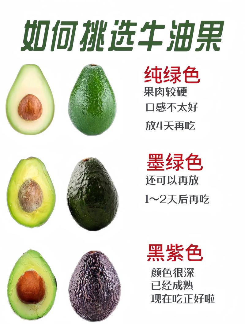 牛油果有几个品种,牛油果不同品种的区别,牛油果哪个好?-第2张图片-优品飞百科 牛油果有几个品种,牛油果不同品种的区别,牛油果哪个好?-第2张图片-优品飞百科