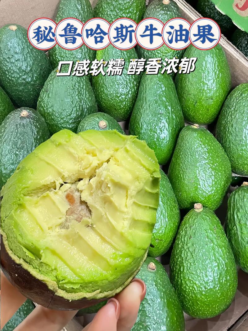 牛油果有几个品种,牛油果不同品种的区别,牛油果哪个好?-第6张图片-优品飞百科 牛油果有几个品种,牛油果不同品种的区别,牛油果哪个好?-第6张图片-优品飞百科