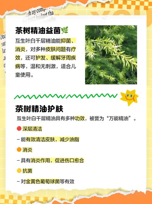 白千层的功效与作用？白千层皮的功效与作用？-第1张图片-优品飞百科