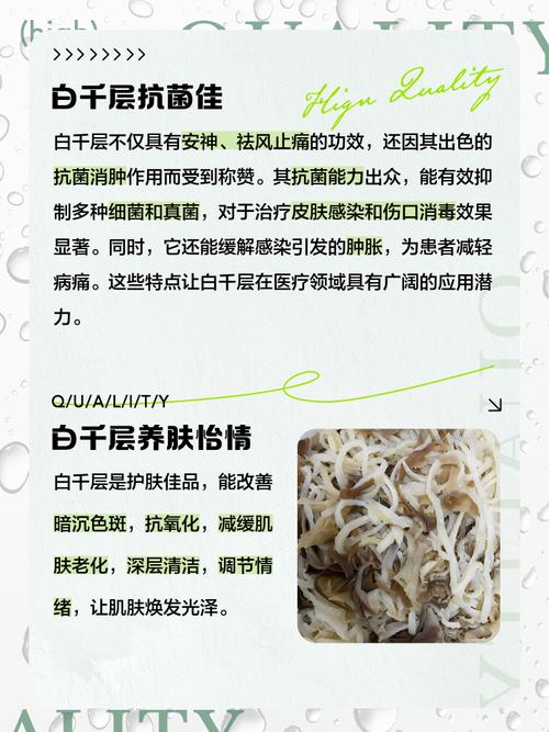 白千层的功效与作用？白千层皮的功效与作用？-第2张图片-优品飞百科