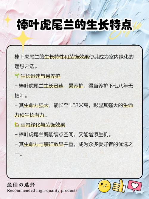 棒叶虎尾兰的养殖方法和注意事项?棒叶虎尾兰小苗怎么养成直的?-第5张图片-优品飞百科 棒叶虎尾兰的养殖方法和注意事项?棒叶虎尾兰小苗怎么养成直的?-第5张图片-优品飞百科