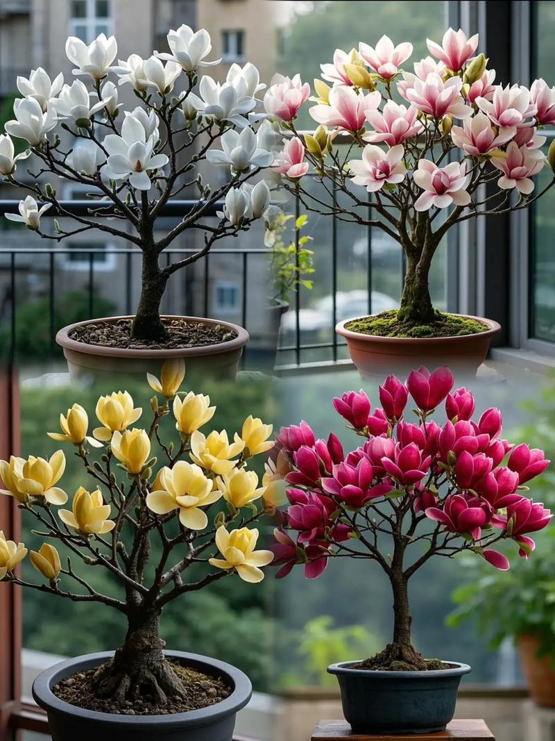 齐齐哈尔适合养什么花，市花和市树是什么，齐齐哈尔赏花的地方-第7张图片-优品飞百科