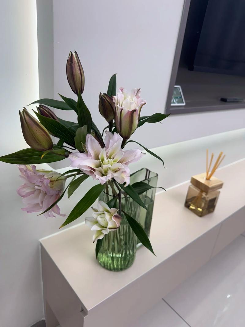 关于过节增“运势”，这“3种”转运花摆上，气氛喜洋洋！的信息-第4张图片-优品飞百科