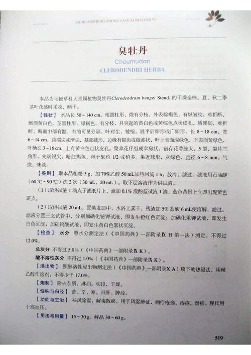 臭牡丹的功效与作用，臭牡丹的功效与作用主要治什么病？-第5张图片-优品飞百科