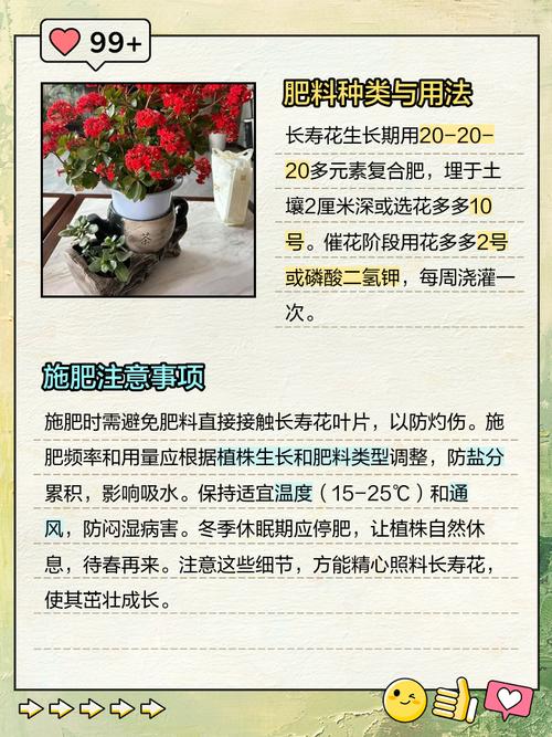 长寿花是草本还是木本，怎样给长寿花施肥，长寿花是什么肥料-第3张图片-优品飞百科