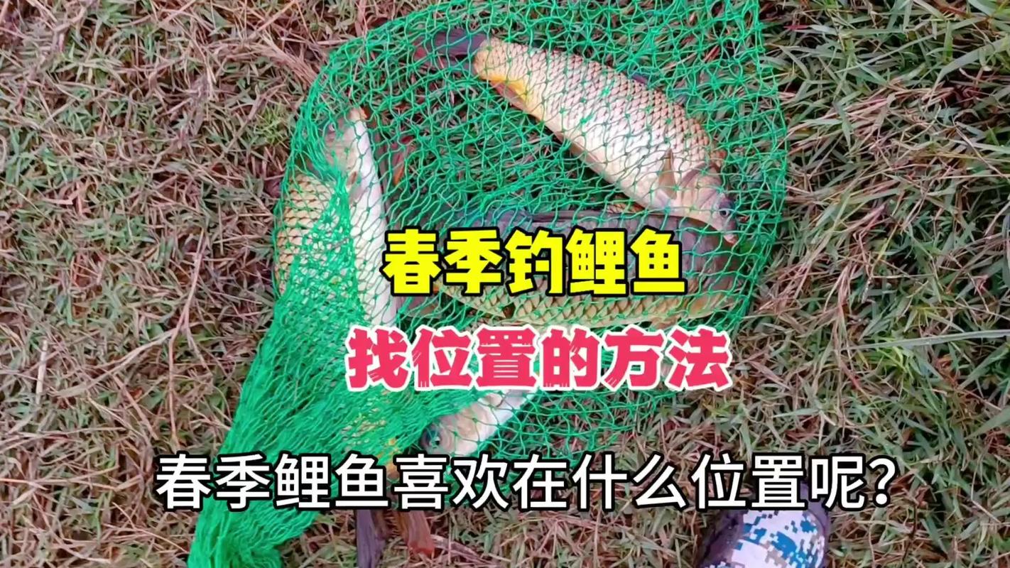 鲇鱼山天气预报？鲇鱼山天气预报查询？-第3张图片-优品飞百科