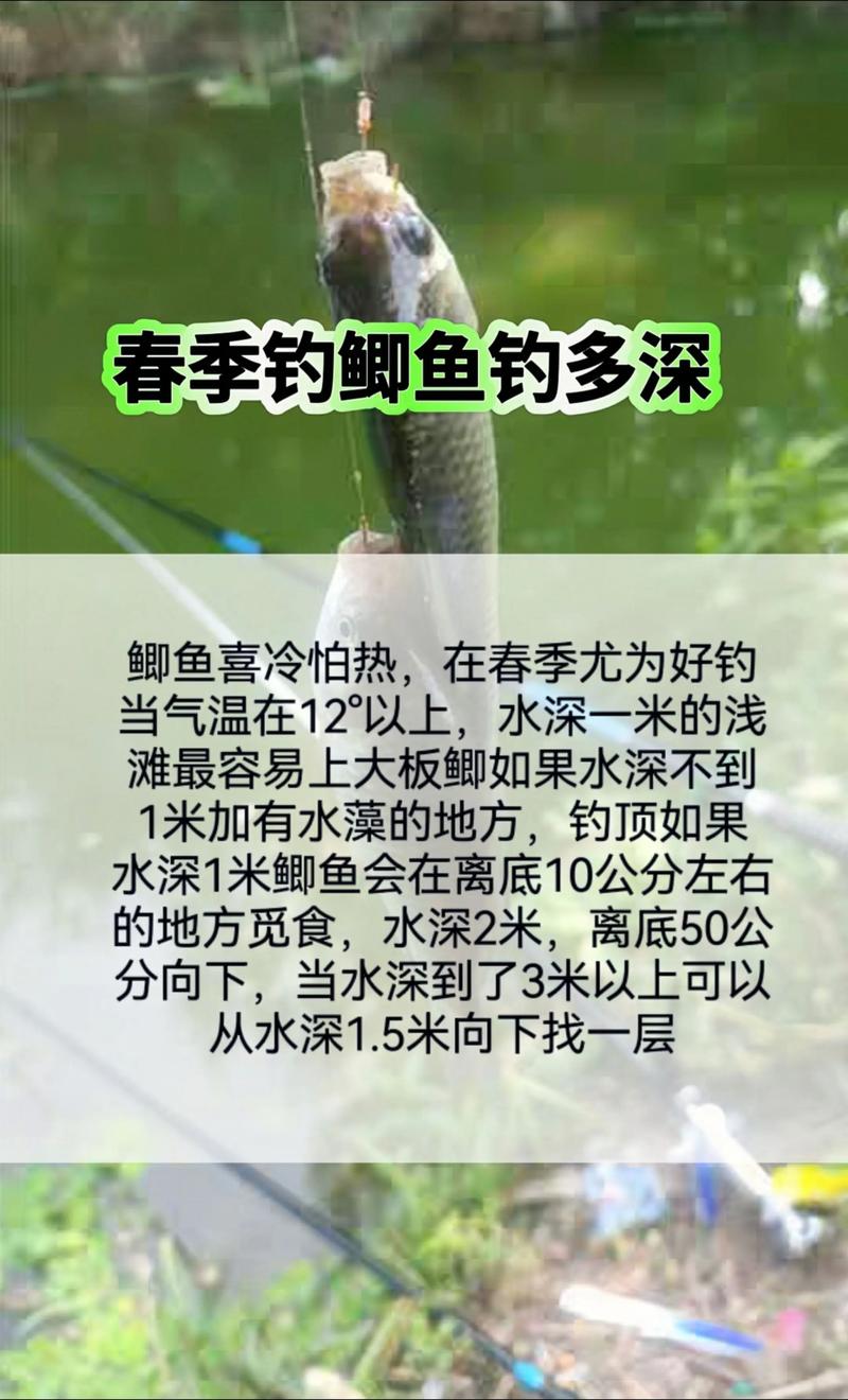 鲇鱼山天气预报？鲇鱼山天气预报查询？-第4张图片-优品飞百科