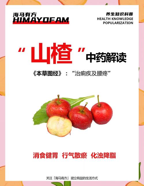 山楂的功效与作用减肥，山楂功效与作用的功效与作用？-第2张图片-优品飞百科