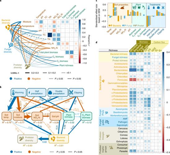 重庆市沙坪坝天气预报，重庆市沙坪坝天气预报24小时？-第3张图片-优品飞百科
