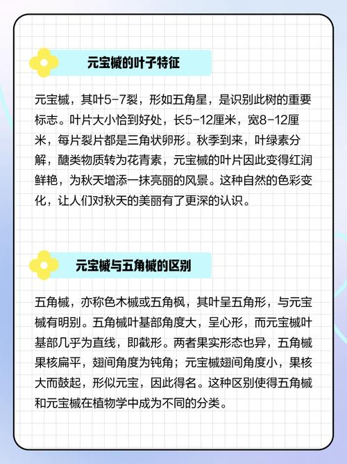 通泉草的功效与作用？通泉草介绍？-第3张图片-优品飞百科