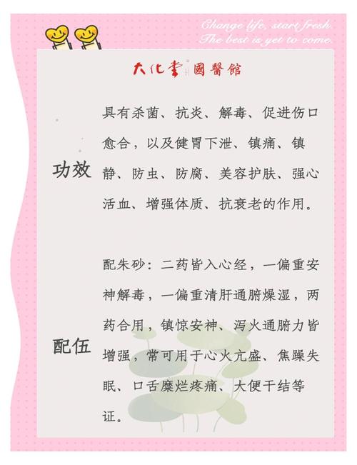 芦荟的功效与作用？芦荟的功效与作用对皮肤的作用？-第2张图片-优品飞百科