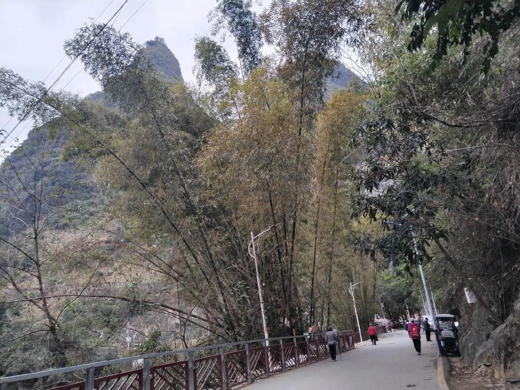 巴马长寿村天气预报？巴马长寿村天气预报7天穿衣？-第1张图片-优品飞百科