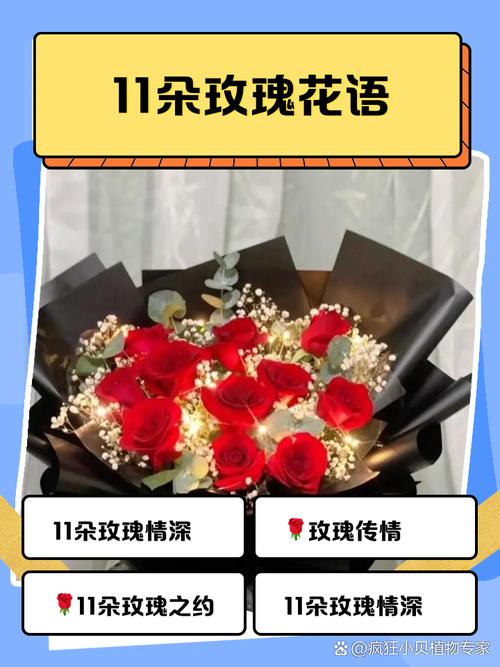 11朵玫瑰代表什么意思，11朵玫瑰代表什么意思加满天星加百合花的花语？-第2张图片-优品飞百科