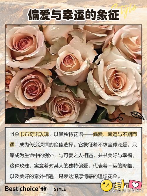 11朵玫瑰代表什么意思，11朵玫瑰代表什么意思加满天星加百合花的花语？-第4张图片-优品飞百科