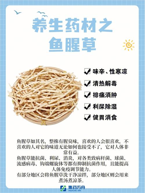 鱼腥草泡水喝的功效，夏枯草鱼腥草泡水喝的功效-第2张图片-优品飞百科