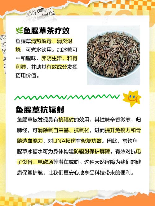 鱼腥草泡水喝的功效，夏枯草鱼腥草泡水喝的功效-第4张图片-优品飞百科