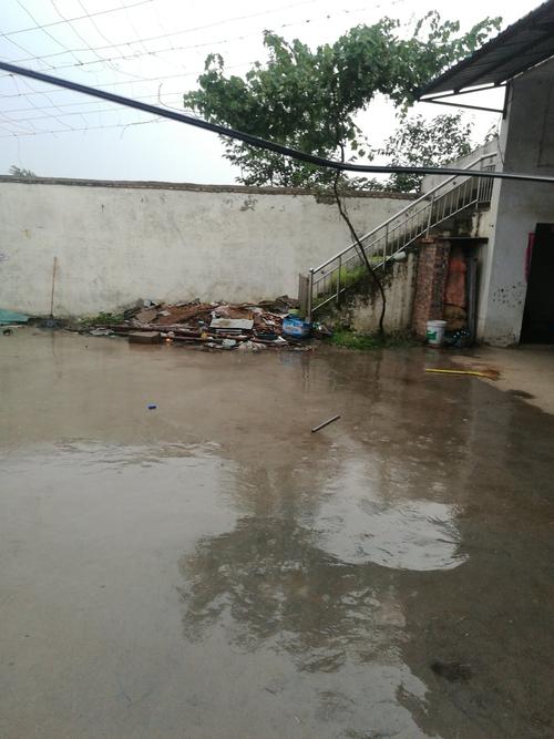 西华县实时天气预报?西华县天气预报15天查询?-第4张图片-优品飞百科 西华县实时天气预报?西华县天气预报15天查询?-第4张图片-优品飞百科