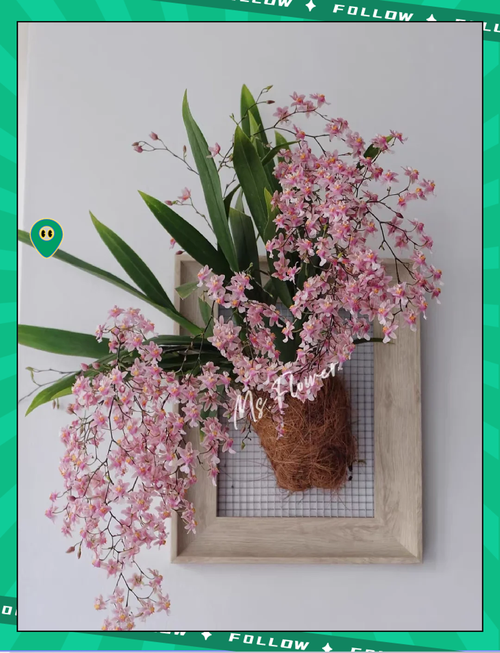 文心兰的花语及意义，文心兰的花语是什么？-第3张图片-优品飞百科