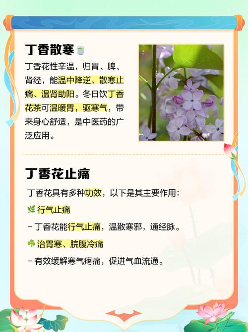 丁香的功效与作用？细辛的功效与作用？-第1张图片-优品飞百科