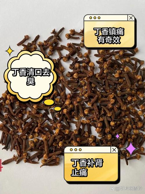 丁香的功效与作用？细辛的功效与作用？-第2张图片-优品飞百科