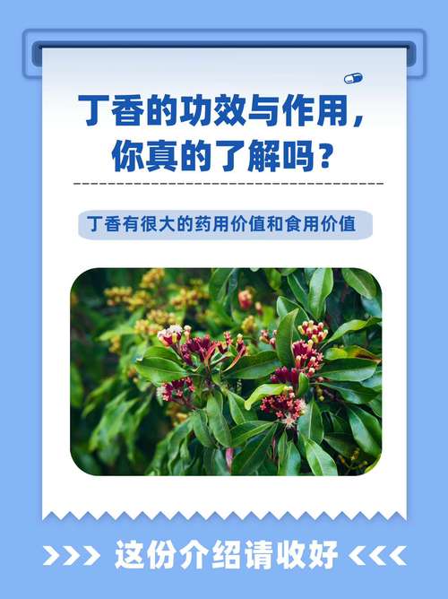 丁香的功效与作用？细辛的功效与作用？-第3张图片-优品飞百科