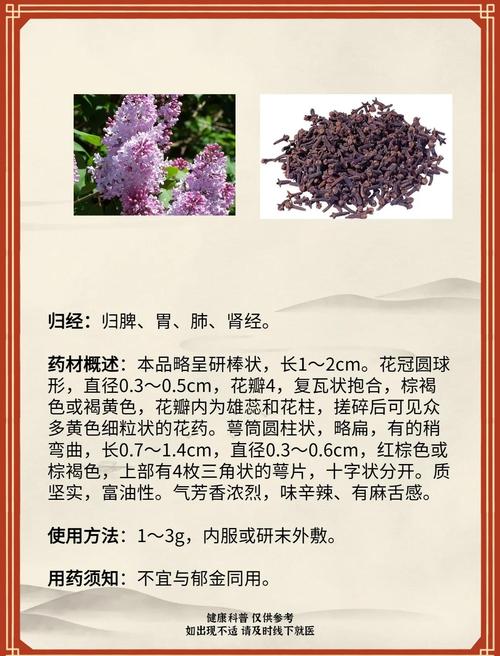 丁香的功效与作用？细辛的功效与作用？-第5张图片-优品飞百科