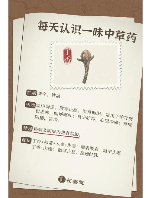 丁香的功效与作用？细辛的功效与作用？-第7张图片-优品飞百科