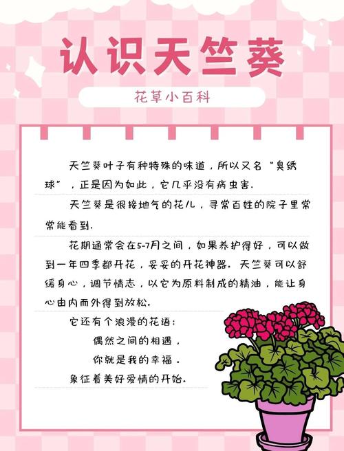 天竺葵的功效与作用？多特瑞天竺葵的功效与作用？-第2张图片-优品飞百科