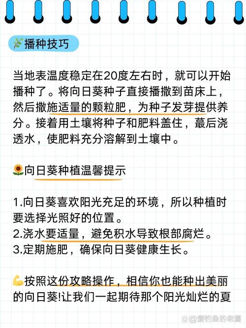 向日葵什么时候开花,向日葵图片,向日葵是啥时候开花-第5张图片-优品飞百科 向日葵什么时候开花,向日葵图片,向日葵是啥时候开花-第5张图片-优品飞百科
