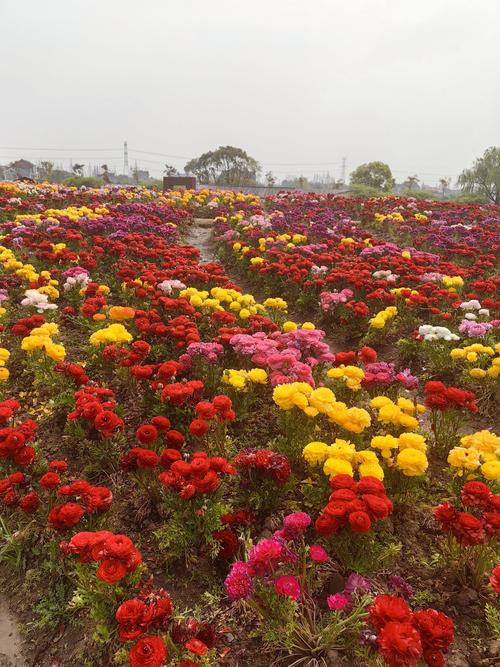 宾川县天气预报？宾川县天气预报7天查询？-第3张图片-优品飞百科