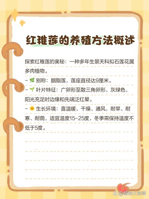 红稚莲多肉植物怎么养,如何养出老桩?红稚莲多肉植物怎么养,如何养出老桩?-第5张图片-优品飞百科 红稚莲多肉植物怎么养,如何养出老桩?红稚莲多肉植物怎么养,如何养出老桩?-第5张图片-优品飞百科