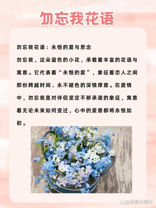 勿忘我的花语永恒的爱,浓情厚谊?勿忘我花语的来历?-第3张图片-优品飞百科 勿忘我的花语永恒的爱,浓情厚谊?勿忘我花语的来历?-第3张图片-优品飞百科