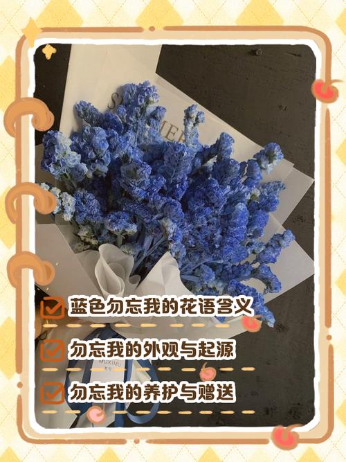 勿忘我的花语永恒的爱,浓情厚谊?勿忘我花语的来历?-第4张图片-优品飞百科 勿忘我的花语永恒的爱,浓情厚谊?勿忘我花语的来历?-第4张图片-优品飞百科