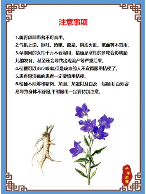 桔梗的功效与作用，桔梗的副作用，桔梗的功效与作用,桔梗的副作用和禁忌？-第2张图片-优品飞百科